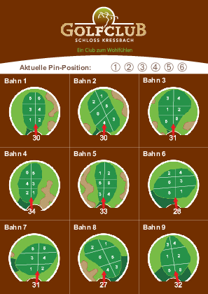 Pin_Positions_Card2.pdf